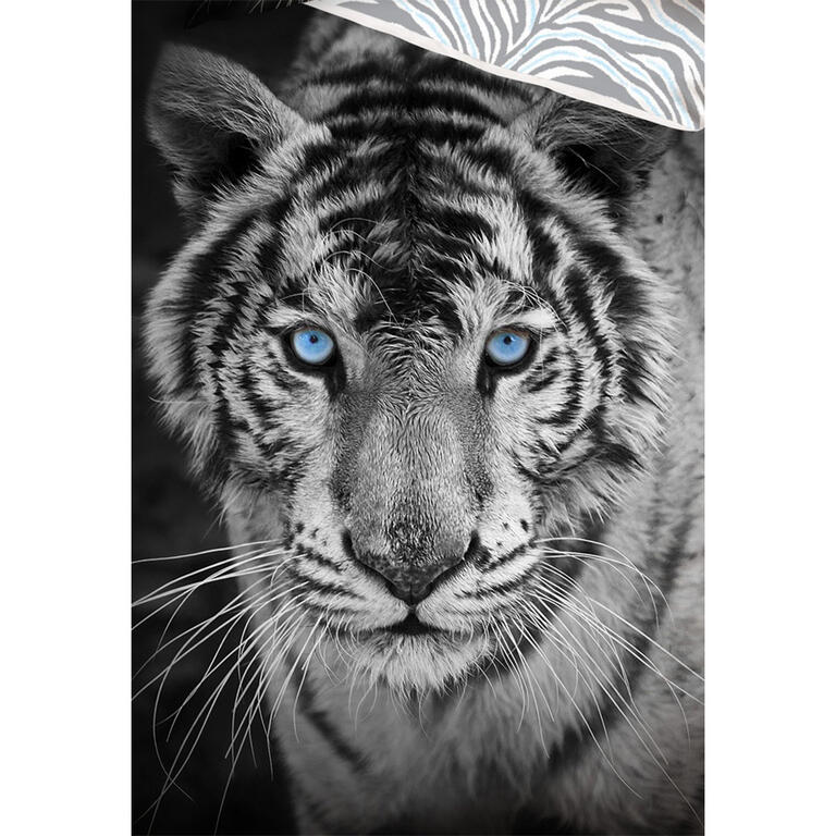 Obrázok Tiptrade Bavlnené obliečky Tiger Blue Eyes, 140 x 200 cm, 70 x 90 cm